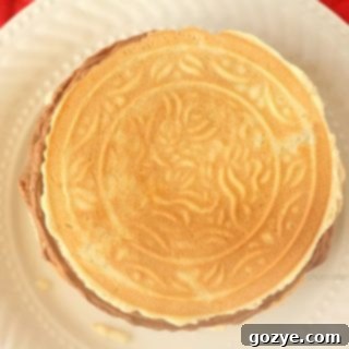 Pizzelles (Italian Wafer Cookies)