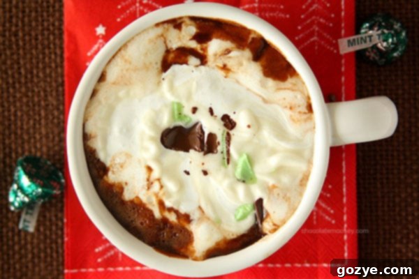 Freshly made Marshmallow Whipped Cream being spooned onto a mug of hot chocolate, illustrating the perfect topping.