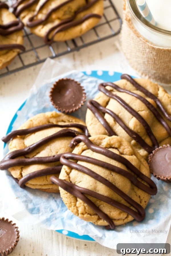 What's better than a single peanut butter cookie? Double Peanut Butter Surprise Cookies stuffed with a peanut butter cup and drizzled with chocolate on top.