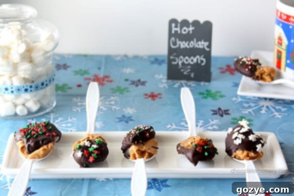 Hot Chocolate Spoon with chocolate and peanut butter