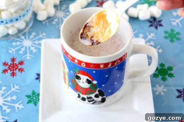 A Chocolate Peanut Butter Hot Chocolate Spoon close up, showing details