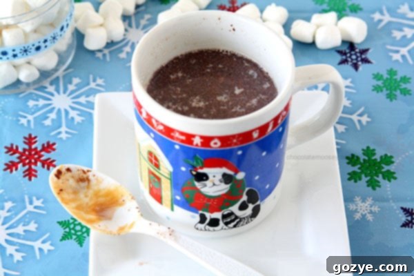 Assortment of Hot Chocolate Spoons with peanut butter and chocolate