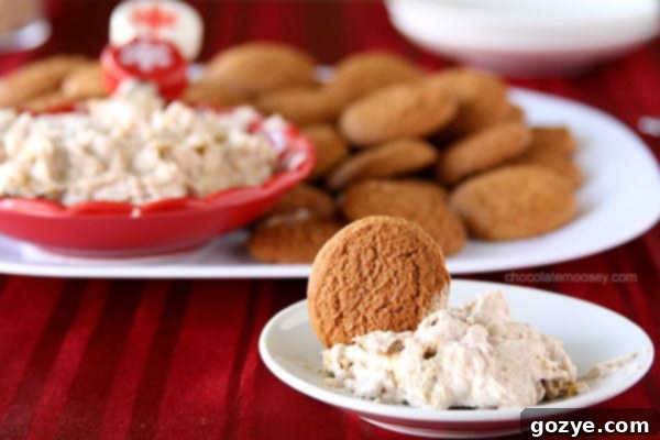 Two images side by side: a bowl of Gingerbread Marshmallow Cheesecake Dip and a close-up of the dip on a cracker.