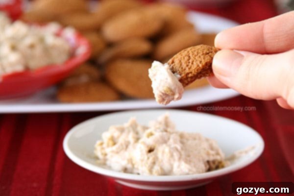 Close-up shot of the Gingerbread Marshmallow Cheesecake Dip on a gingersnap cookie.