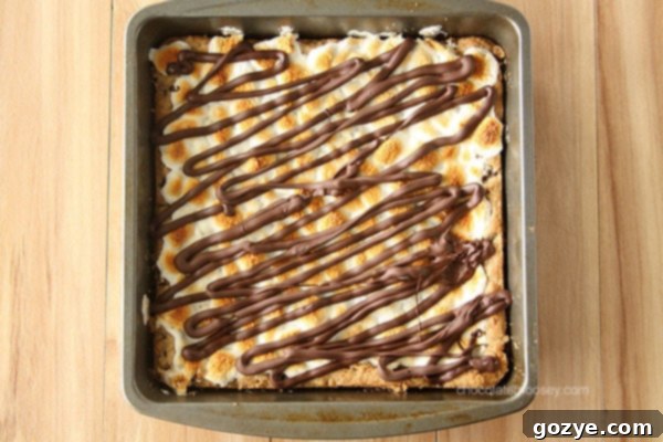 Smores Chocolate Chip Cookie Bars