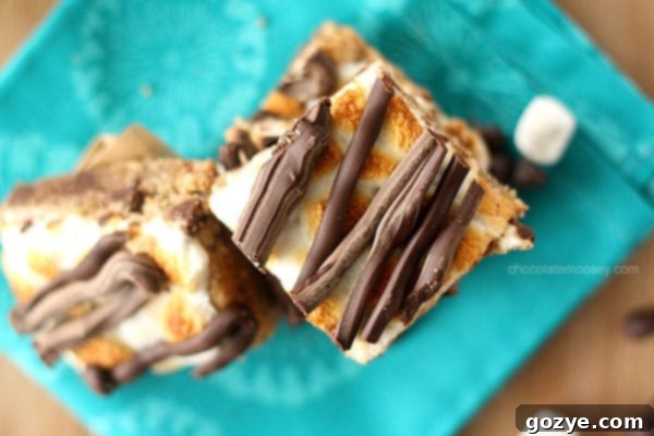 Smores Chocolate Chip Cookie Bars