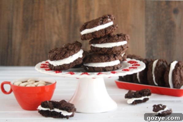 Mexican Hot Cocoa Sandwich Cookies
