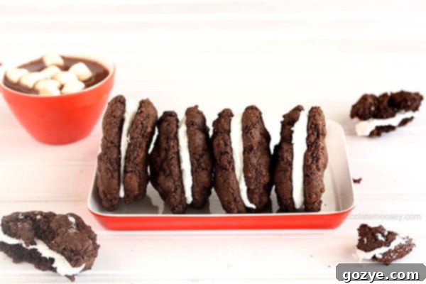 Mexican Hot Cocoa Sandwich Cookies