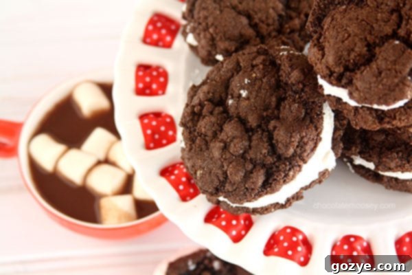 Mexican Hot Cocoa Sandwich Cookies