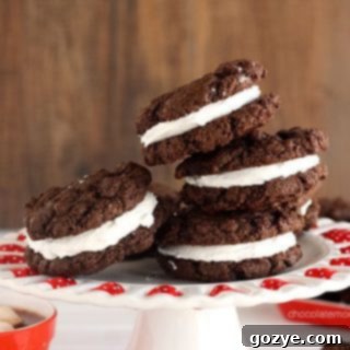 Mexican Hot Cocoa Sandwich Cookies
