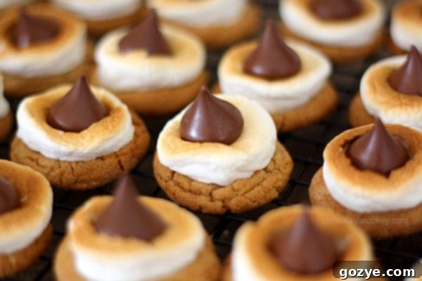 Close-up of S'mores Blossom Cookies on a cooling rack, showcasing the golden toasted marshmallow and melted chocolate kiss.