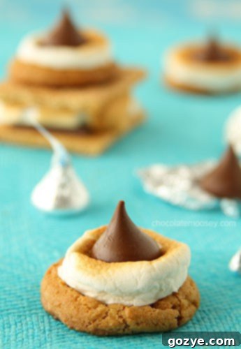 Single S'mores Blossom Cookie showing the soft cookie base, gooey marshmallow, and rich chocolate kiss detail.