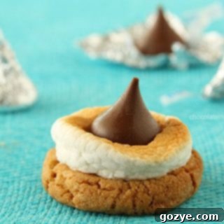 S'mores Blossom Cookies, a delightful dessert with toasted marshmallows and chocolate.