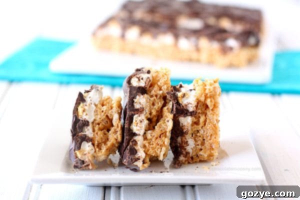 Close-up of S'mores Rice Crispy Treat Bark showing toasted marshmallows and chocolate layers.