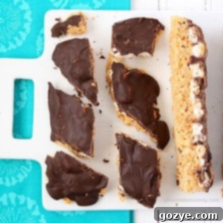 (Really Thick) Smores Rice Crispy Treat Bark