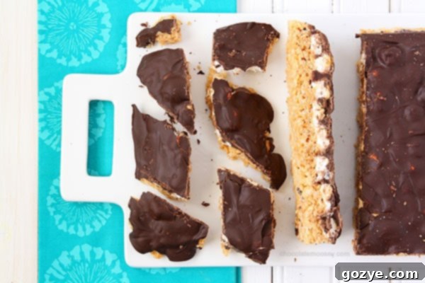 Pinterest pin for S'mores Rice Crispy Treat Bark