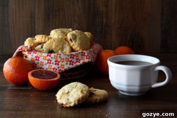 Zesty Orange and Dried Cherry Scones 2 Simple Dried Cherry and Orange Scones | www.chocolatemoosey.com