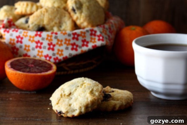 Zesty Orange and Dried Cherry Scones 3 Simple Dried Cherry and Orange Scones | www.chocolatemoosey.com