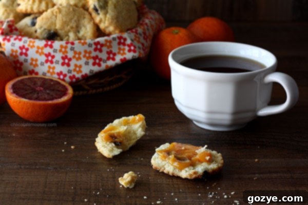 Zesty Orange and Dried Cherry Scones 4 Simple Dried Cherry and Orange Scones | www.chocolatemoosey.com
