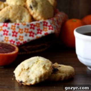 Zesty Orange and Dried Cherry Scones 5 Simple Dried Cherry and Orange Scones