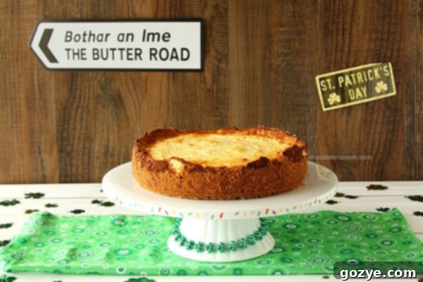 Irish Cheese and Bacon Cheesecake with Walnut Crust | www.chocolatemoosey.com