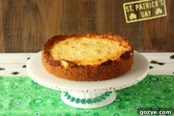 Irish Cheese and Bacon Cheesecake with Walnut Crust | www.chocolatemoosey.com