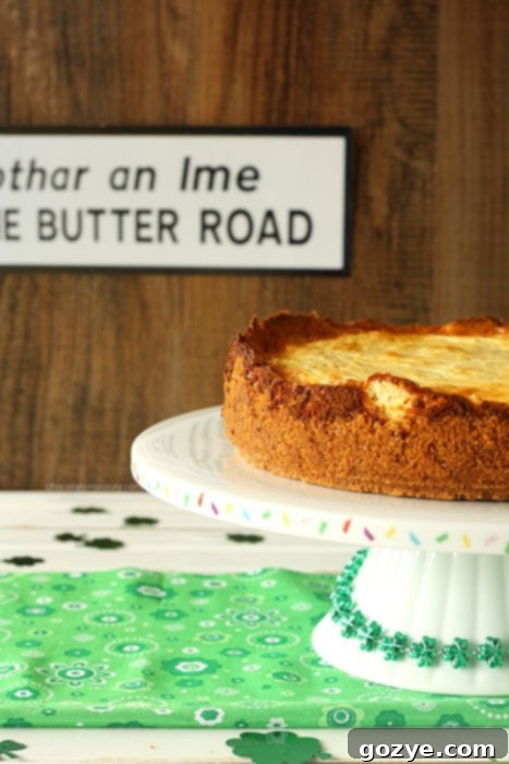 Irish Cheese and Bacon Cheesecake with Walnut Crust | www.chocolatemoosey.com