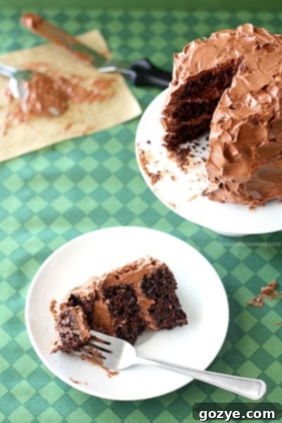 Mini Chocolate Guinness Cake with rich Bailey's Ganache Frosting, perfect for St. Patrick's Day