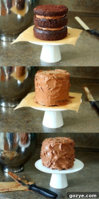 Creamy Bailey's Ganache Frosting swirled on a Mini Chocolate Guinness Cake