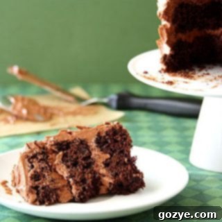 Mini Chocolate Guinness Cake with Bailey's Ganache Frosting