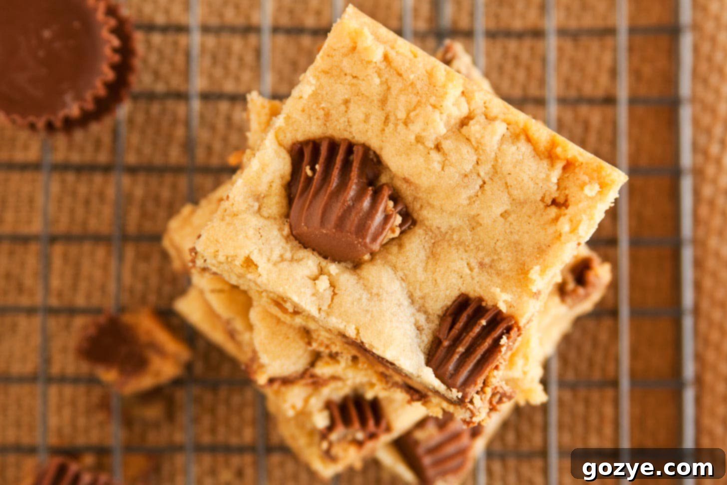 Close up of soft and chewy peanut butter bars