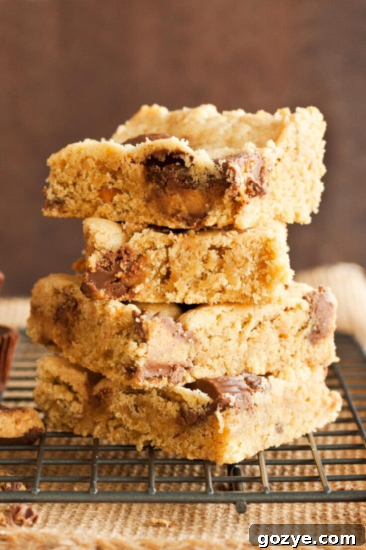 Peanut Butter Cookie Bars
