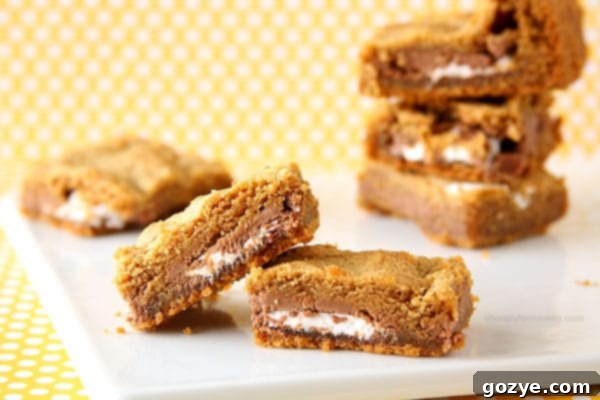 Irresistible Mallo Cup Stuffed Bars 2 Stuffed Mallo Cup Bars | A delightful dessert featuring marshmallow and chocolate.