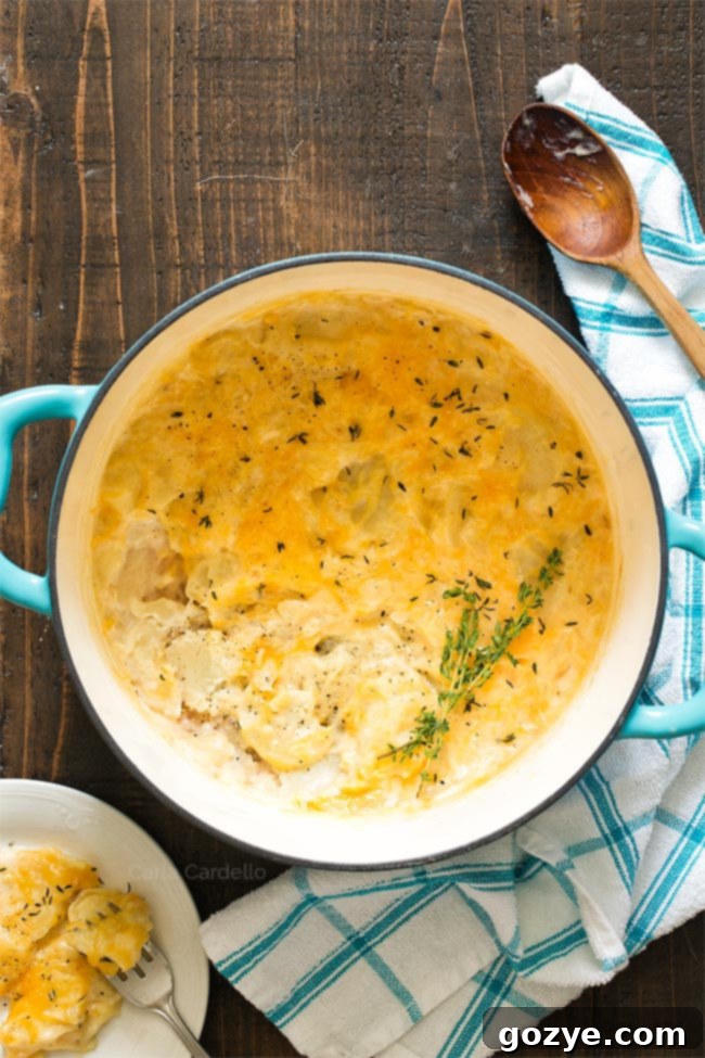 scalloped potatoes in a dutch oven