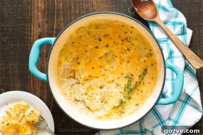 scalloped potatoes in a dutch oven