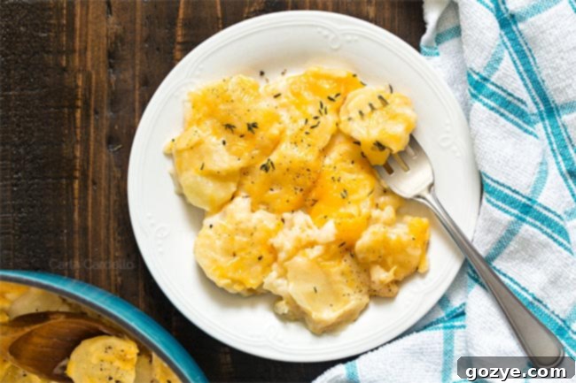 scalloped potatoes on white plate