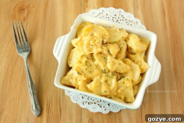 Dish of Scalloped Potatoes