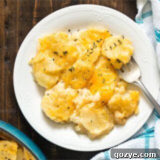 Quick Skillet Cheesy Potato Gratin 10 A perfectly plated serving of Easy Cheesy Stove Top Scalloped Potatoes.