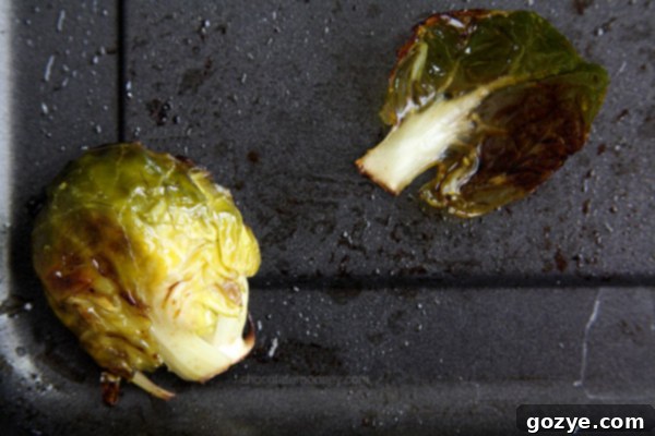Roasted Brussels Sprouts, an Easy and Quick Side Dish