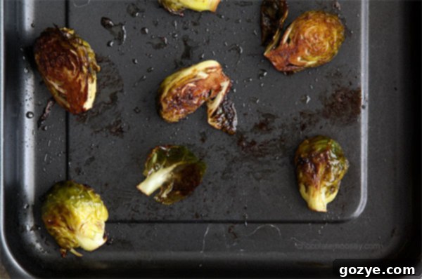 Roasted Brussels Sprouts with olive oil, balsamic vinegar, and sea salt, close up