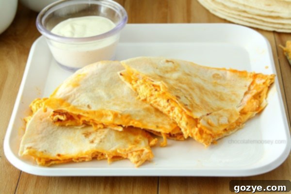 Cheesy Buffalo Chicken Dip Quesadillas 5 Buffalo Chicken Dip Quesadillas | www.chocolatemoosey.com