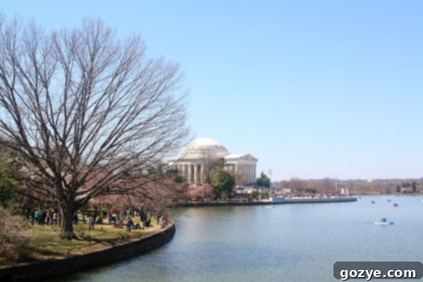 Reflections of Washington DC's iconic architecture on the calm waters of the Tidal Basin