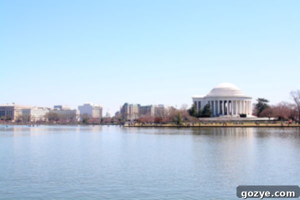 Visitors enjoying a leisurely walk along the scenic path during the Cherry Blossom Festival in DC