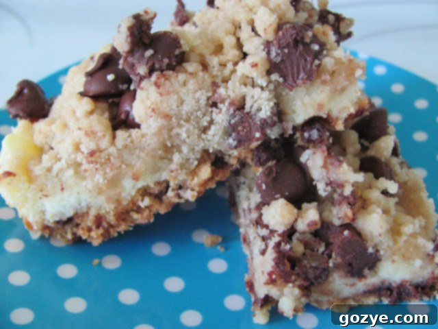 Ultimate Chocolate Chip Cookie Cake 12 img 7206 11