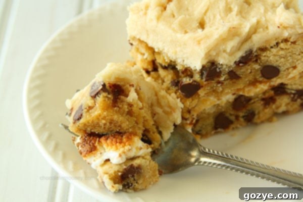 Ultimate Chocolate Chip Cookie Cake 6 Chocolate Chip Cookie Cake with Toasted Marshmallow Filling and Cookie Dough Frosting | www.chocolatemoosey.com