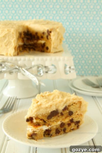 Ultimate Chocolate Chip Cookie Cake 7 Chocolate Chip Cookie Cake with Toasted Marshmallow Filling and Cookie Dough Frosting | www.chocolatemoosey.com