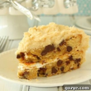 Ultimate Chocolate Chip Cookie Cake 8 Chocolate Chip Cookie Cake with Toasted Marshmallow Filling and Cookie Dough Frosting