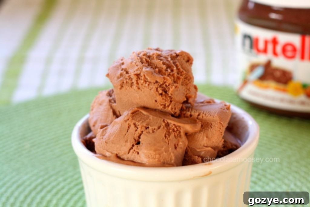 No-Cook Egg-Free Nutella Ice Cream