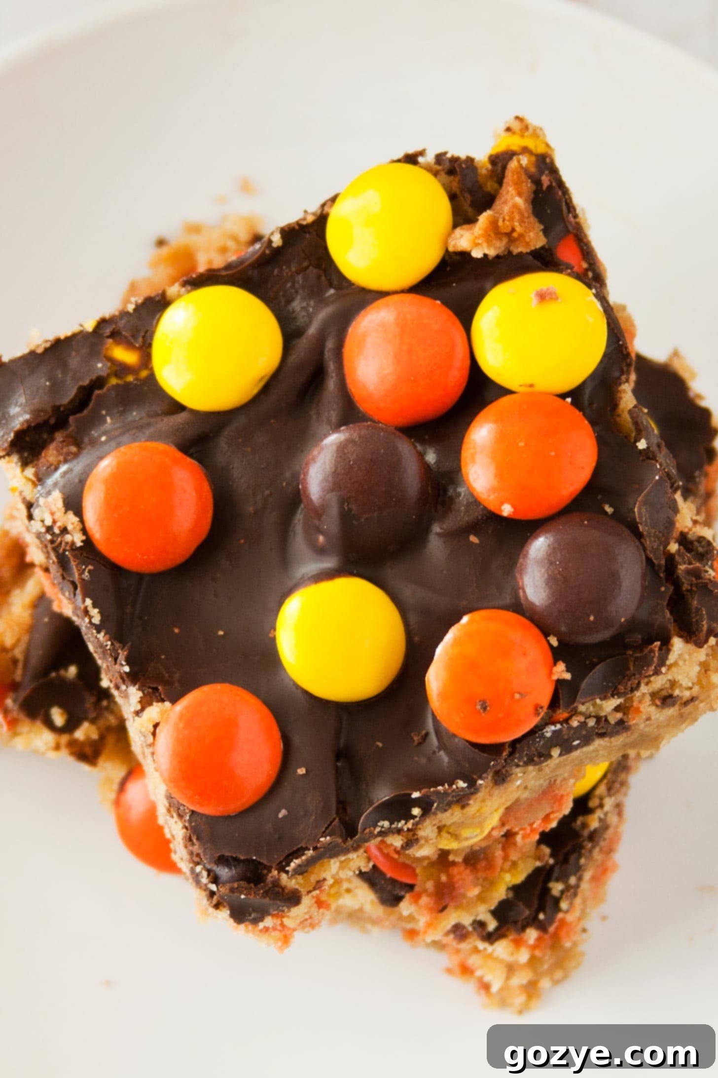 Close up of peanut butter blondie bars with chocolate