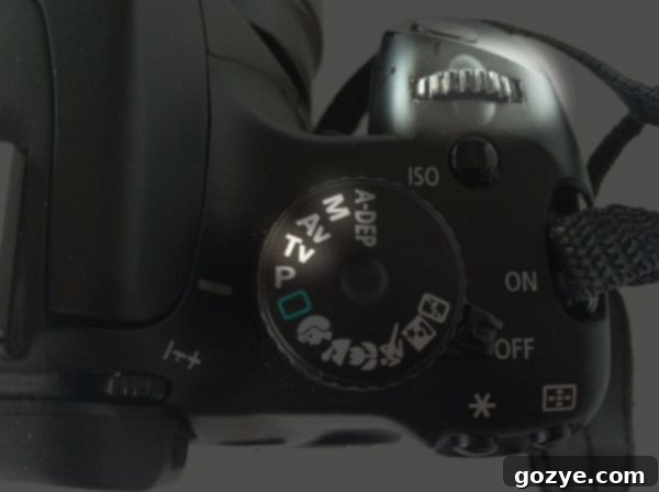 Mastering Shutter Speed 4 Close-up of a DSLR camera dial set to Shutter Priority (Tv/S) mode